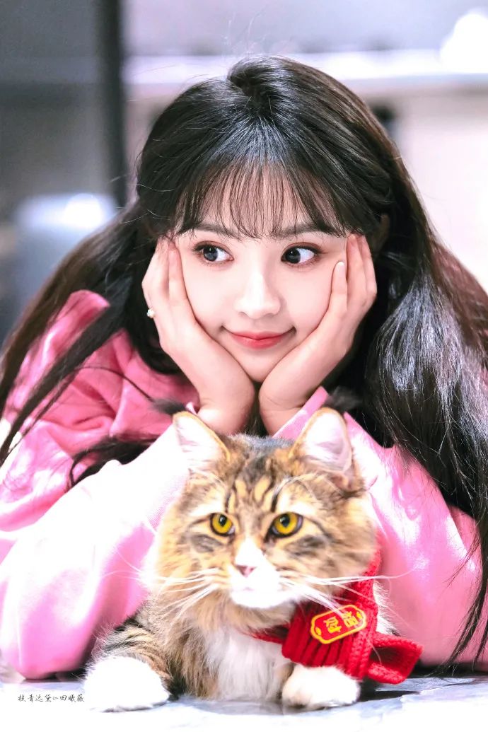 高圆圆, img 高圆圆, img