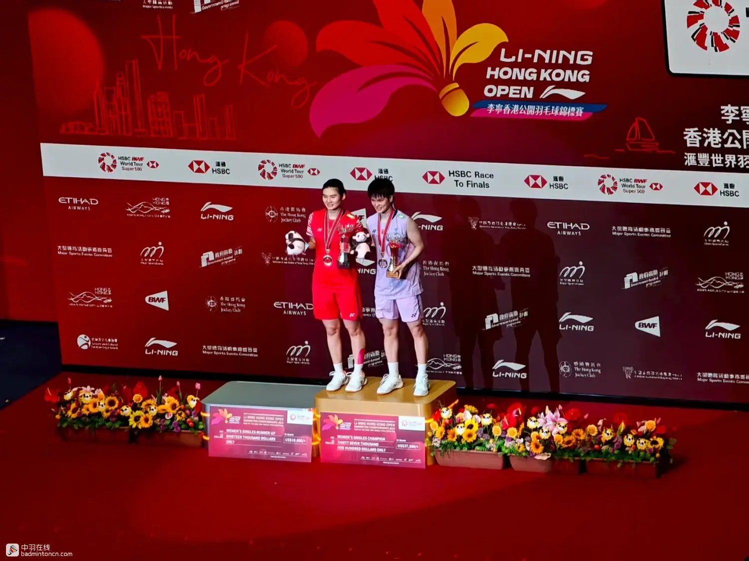 冠军, 年粉丝数量 冠军, 年粉丝数量