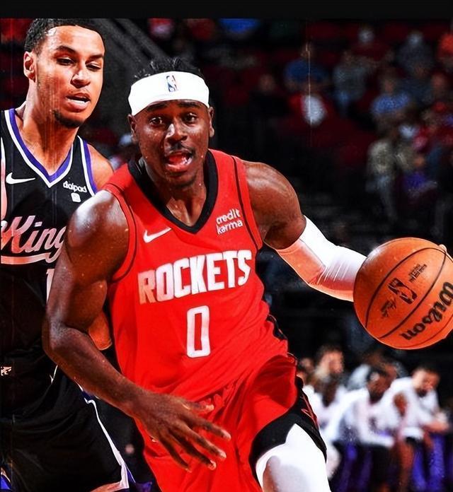 勒迪得到了 勒迪得到了